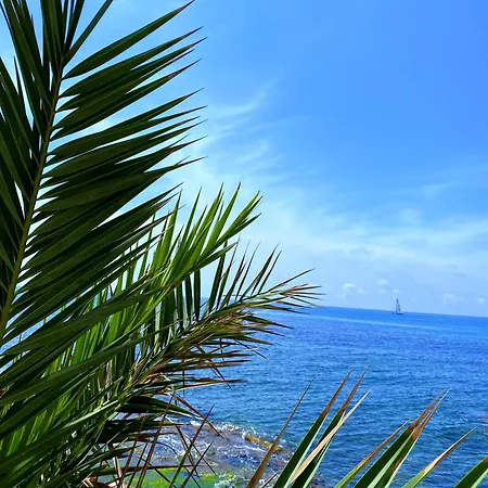 Sea View Торрев'єха